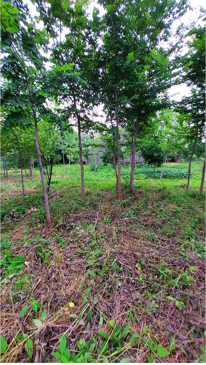 تصویر خانه روستایی در گیلان