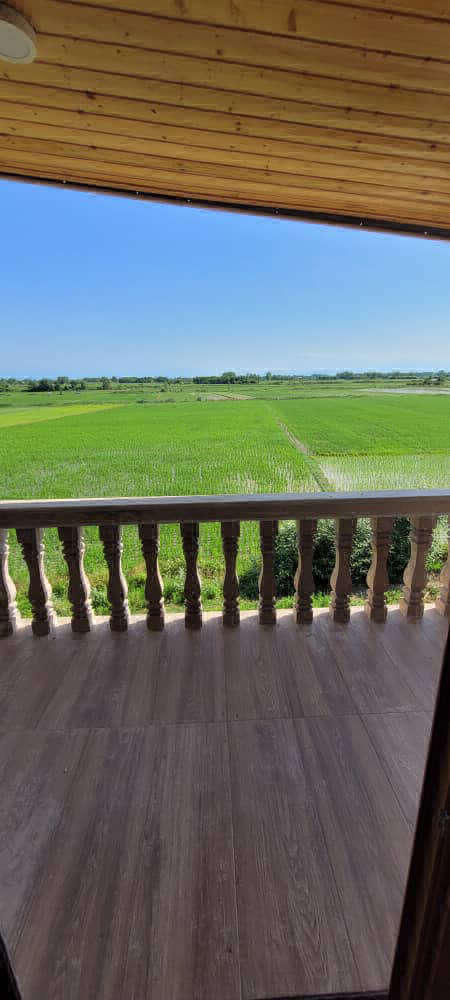 تصویر یک ویلای نما مدرن و محوطه سازی شده با موزاییک و چمن مصنوعی