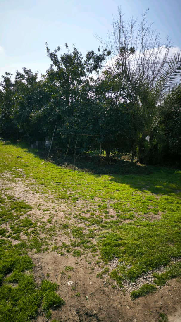 تصویر خانه روستایی در گیلان