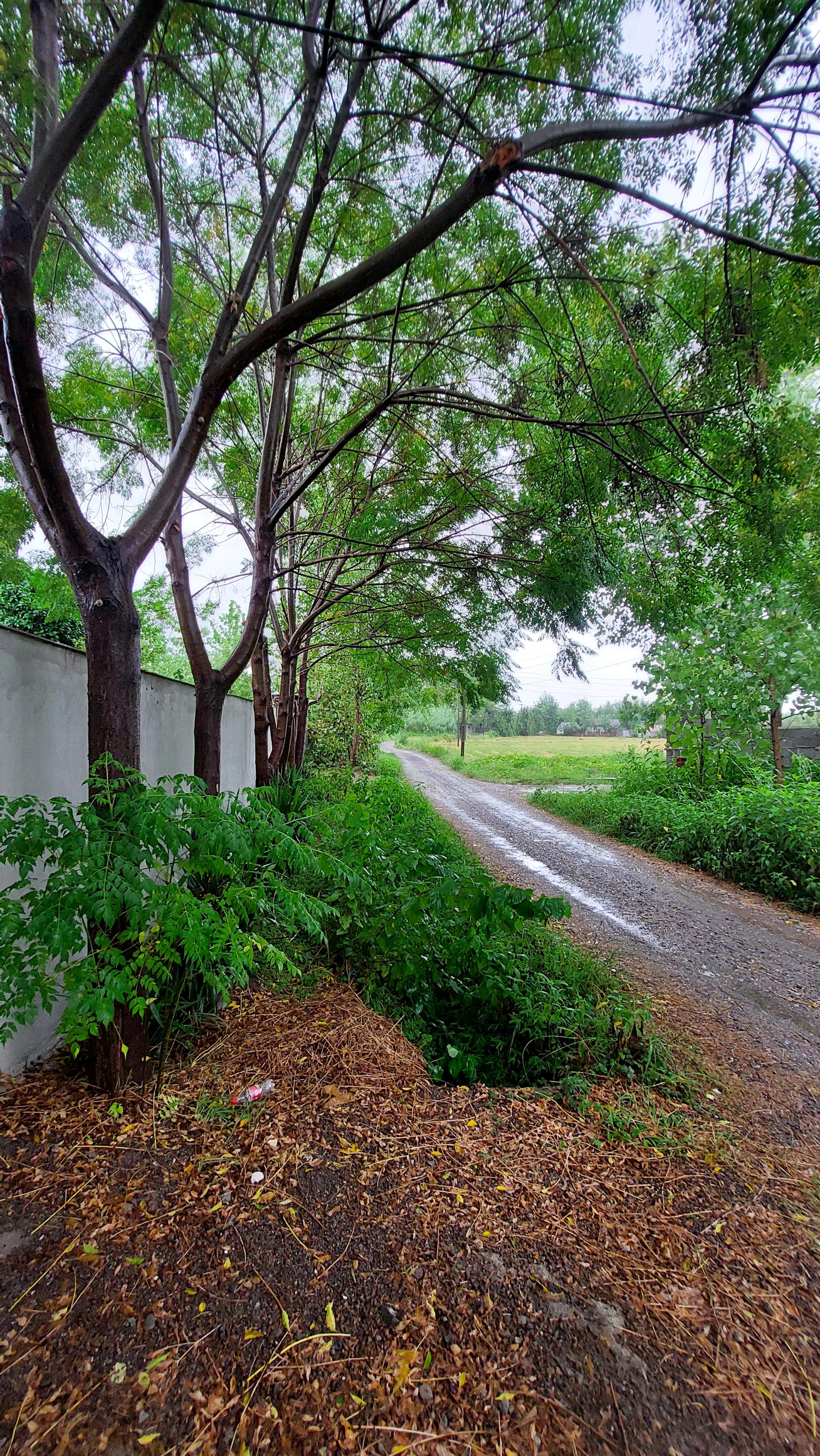 تصویر خانه روستایی در گیلان