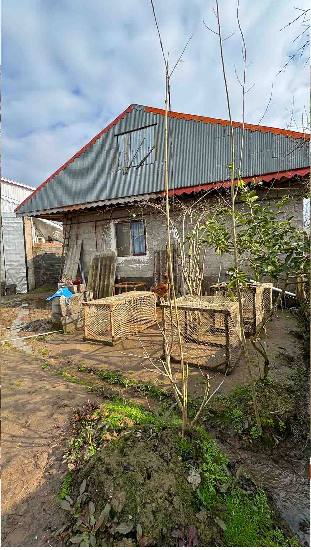تصویر خانه روستایی در گیلان