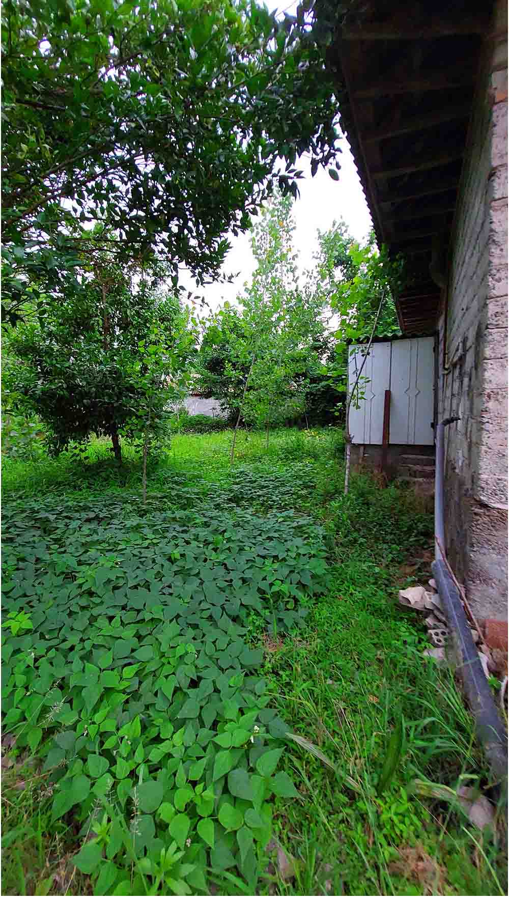 تصویر خانه روستایی در گیلان