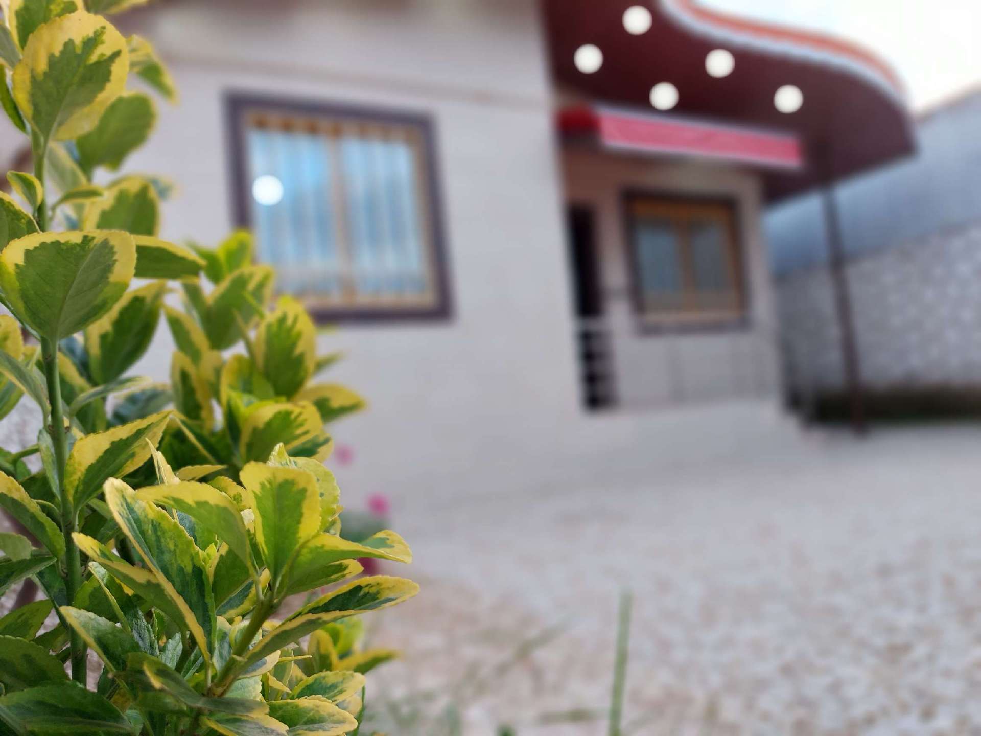 تصویر یه ویلای فلت در موقعیت روستایی با محوطه بزرگ