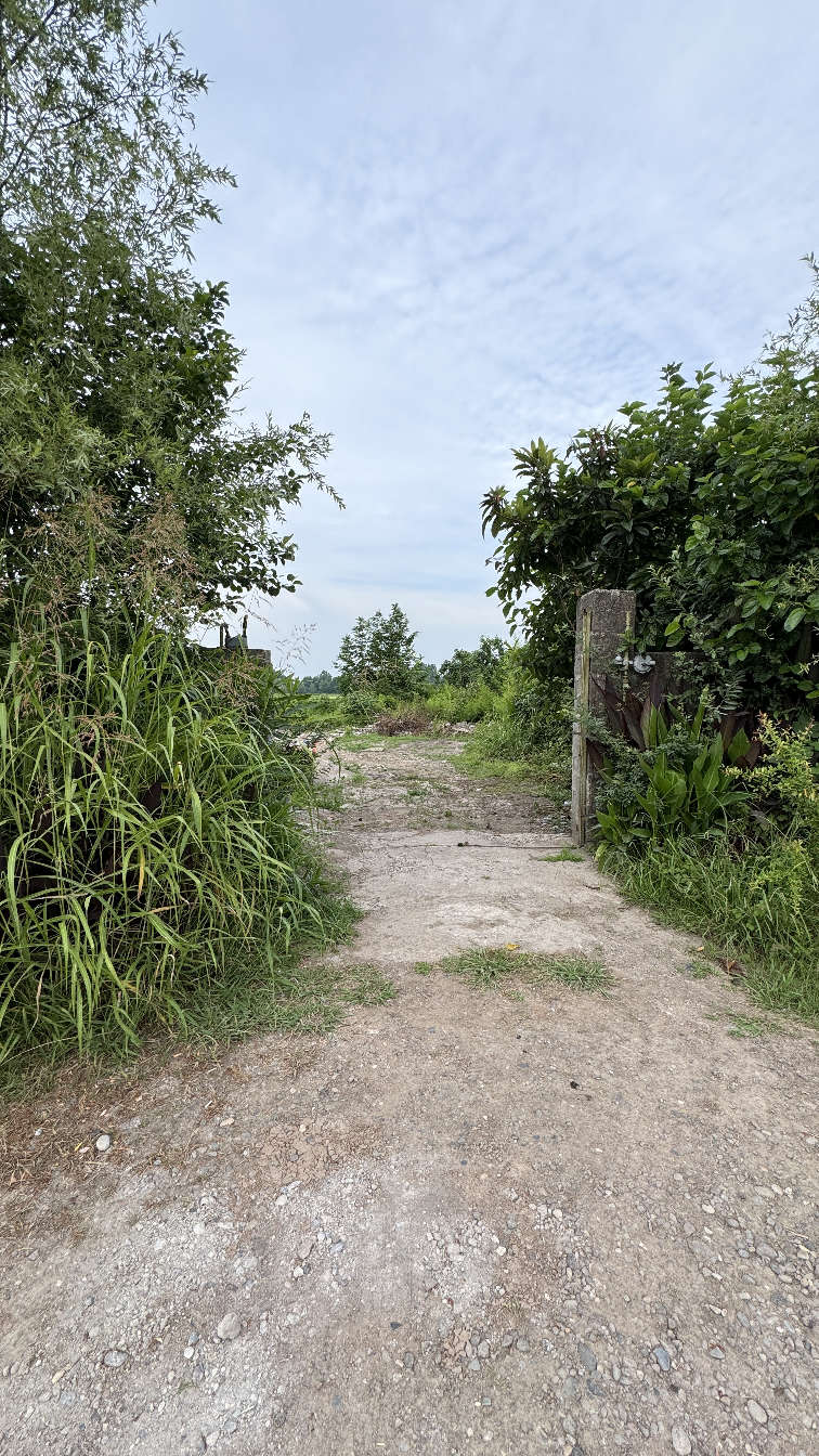 تصویر خانه روستایی در گیلان