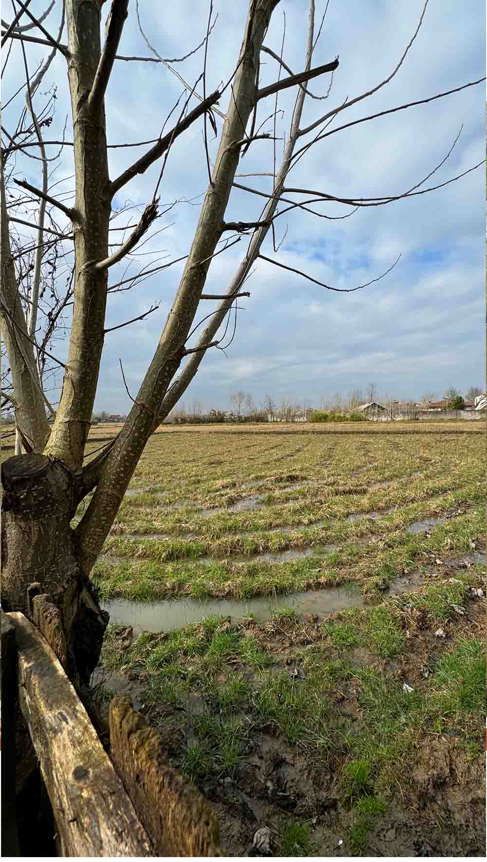 تصویر خانه روستایی در گیلان