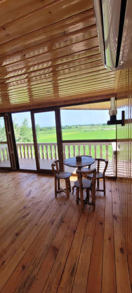 تصویر یک ویلای نما مدرن و محوطه سازی شده با موزاییک و چمن مصنوعی